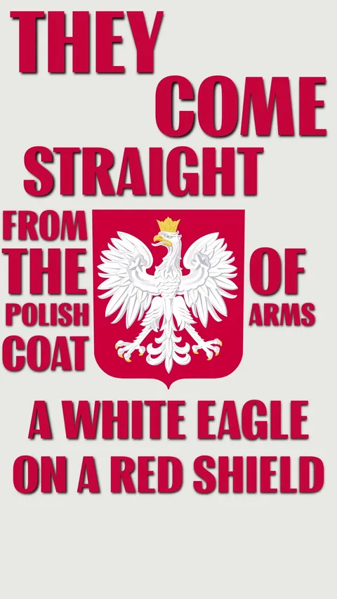 Poland's colors weren't picked by accident #flags #history #culture